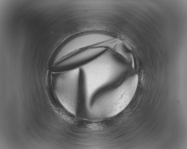 X0000082200544200702170021