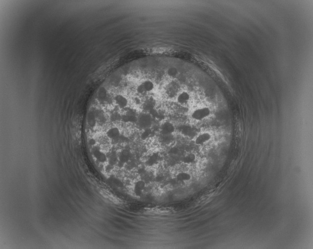 X0000082200545200702170021