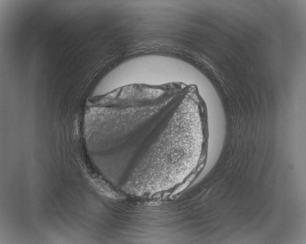 X0000082200546200702170021