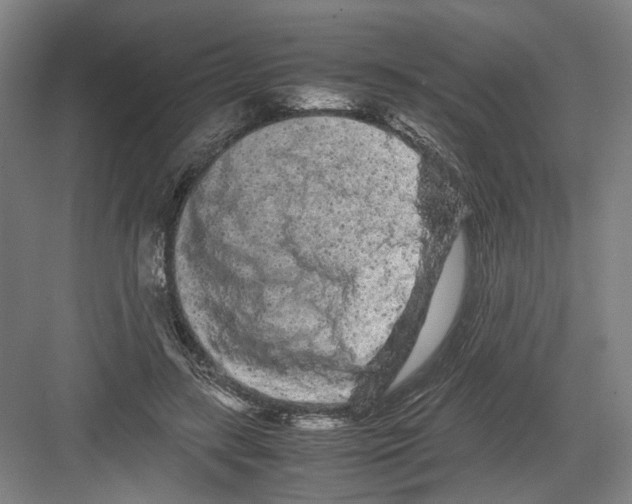 X0000082200547200702170021