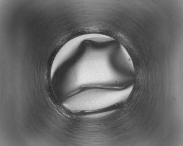 X0000082200548200702170021