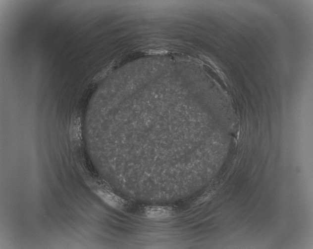 X0000082200549200702170021