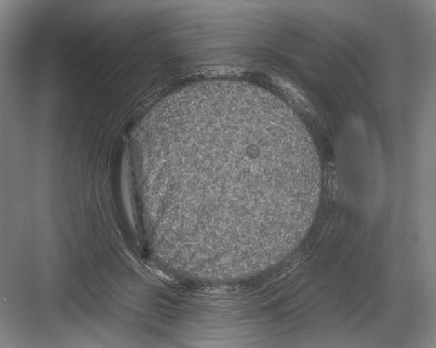 X0000082200550200702170021