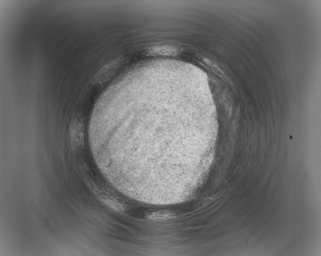 X0000082200551200702170021