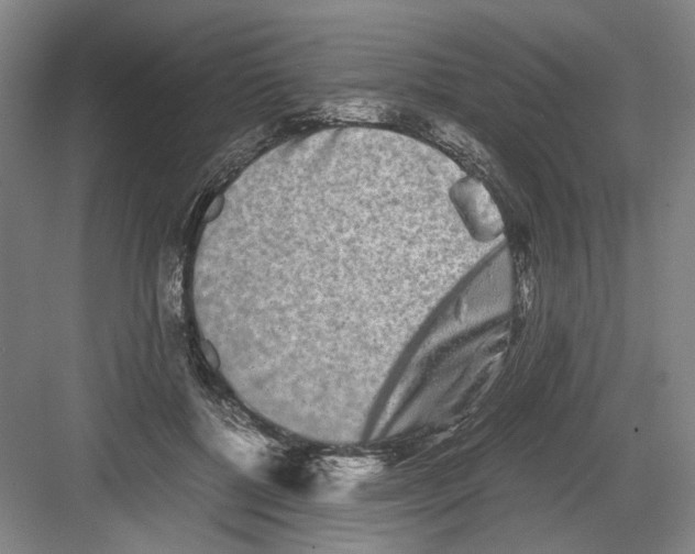 X0000082200552200702170021