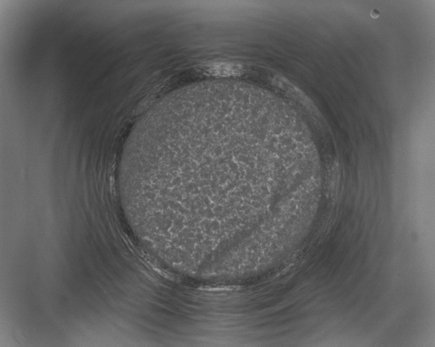 X0000082200553200702170021