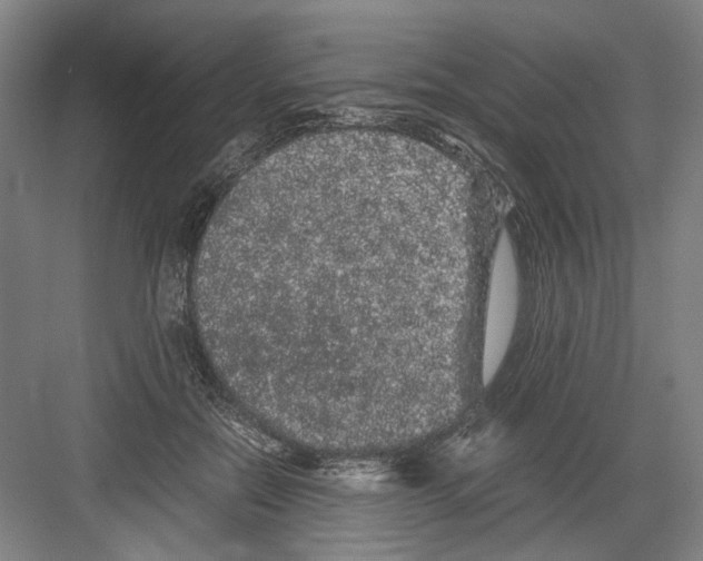 X0000082200554200702170021