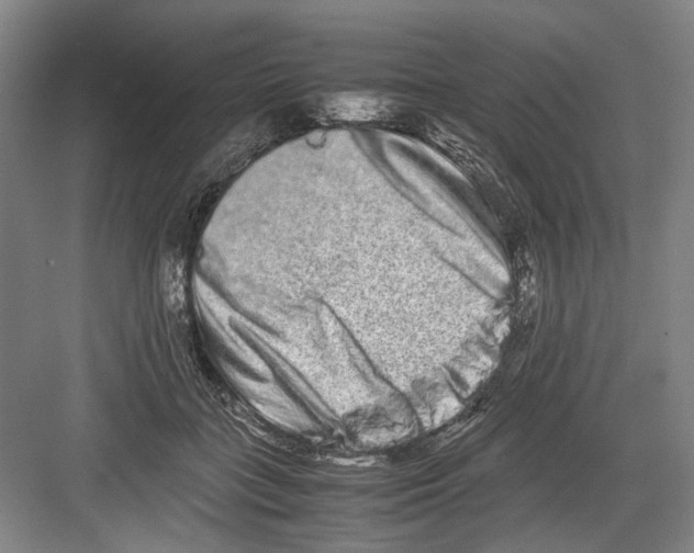 X0000082200555200702170021