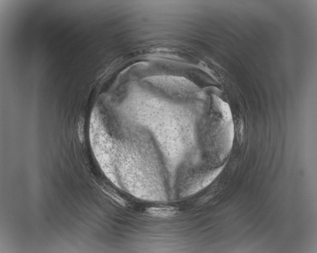 X0000082200556200702170021