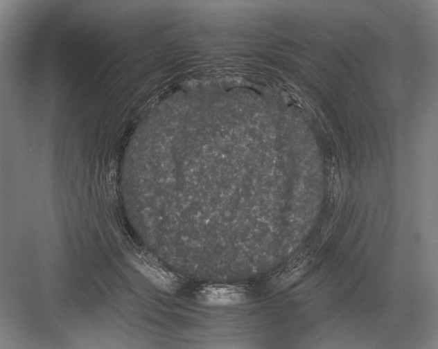 X0000082200557200702170021