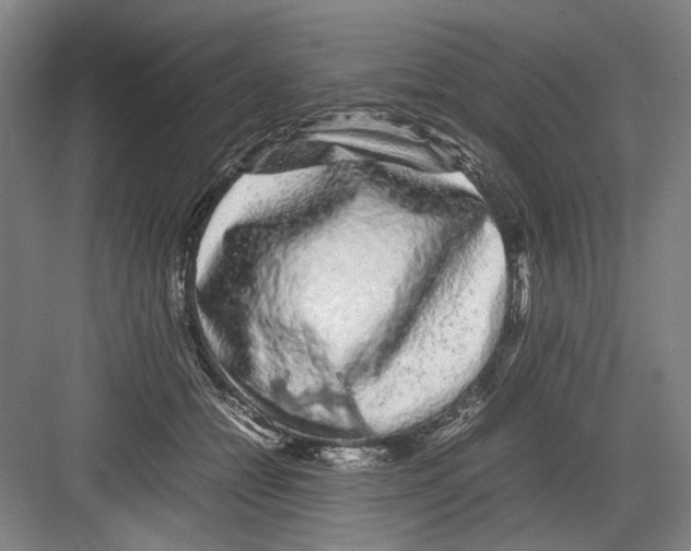 X0000082200558200702170021