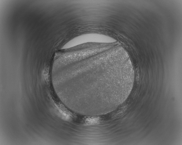 X0000082200560200702170021