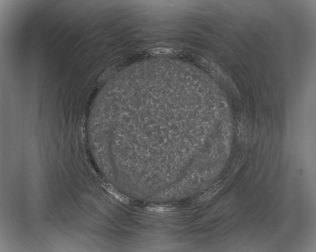 X0000082200561200702170021