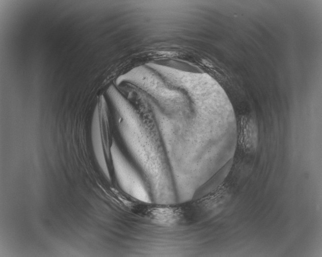 X0000082200562200702170021