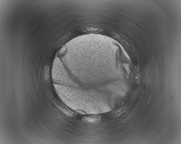 X0000082200563200702170021