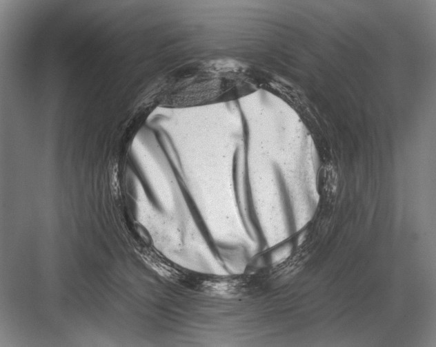 X0000082200564200702170021