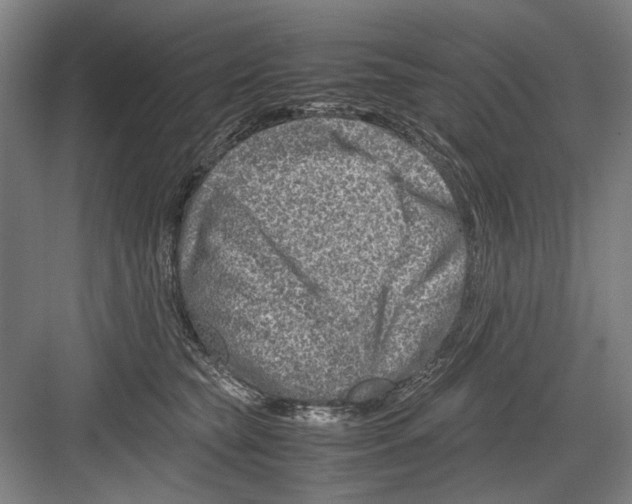 X0000082200565200702170021