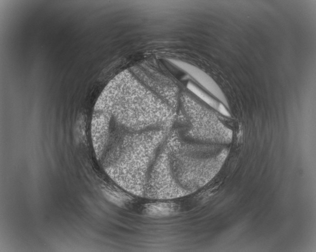 X0000082200567200702170021