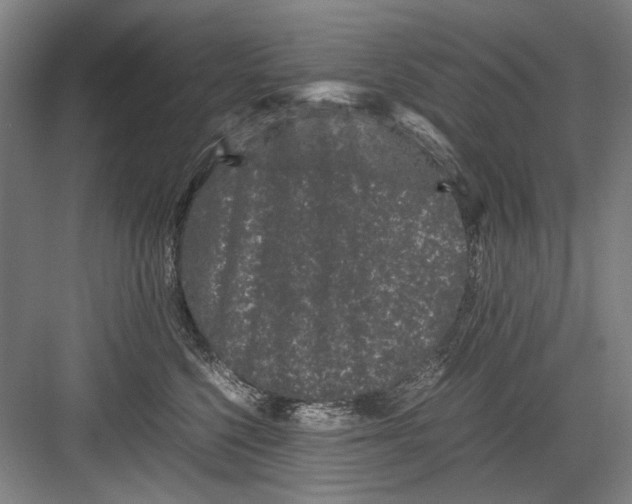 X0000082200568200702170021