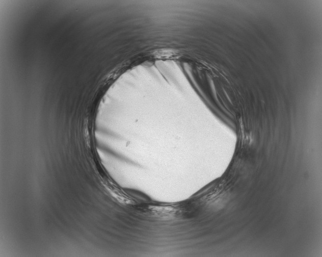 X0000082200572200702170021