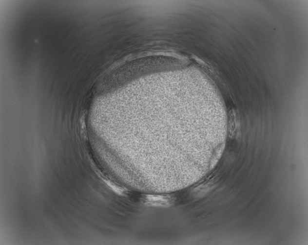 X0000082200573200702170021