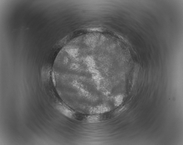 X0000082200574200702170021