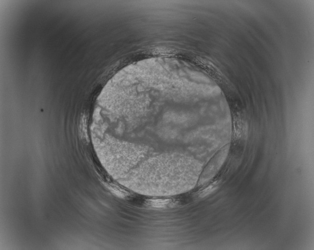 X0000082200575200702170021