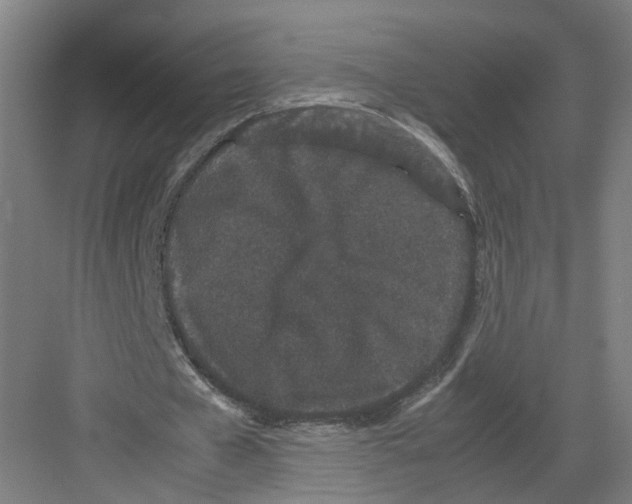 X0000082200577200702170020