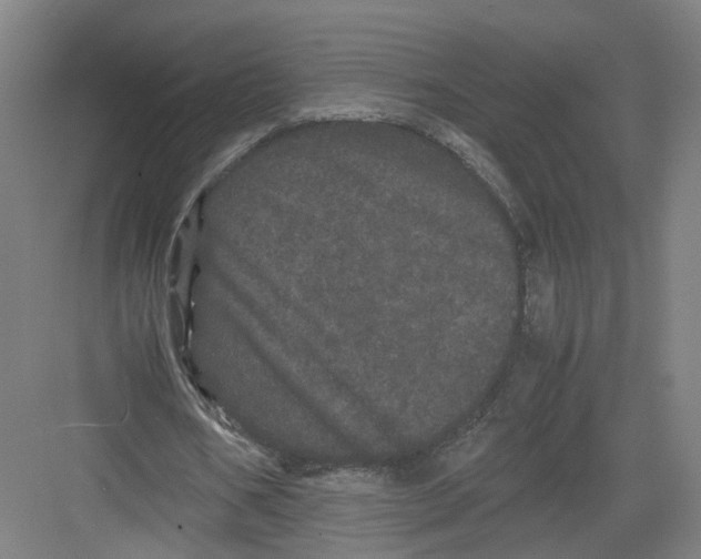 X0000082200578200702170020