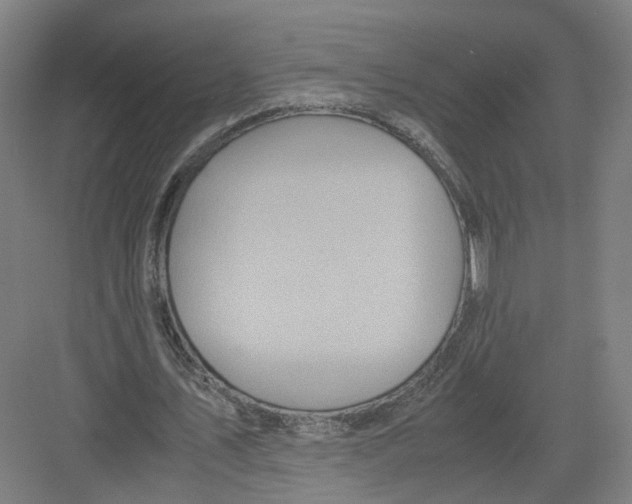 X0000082200579200702170020