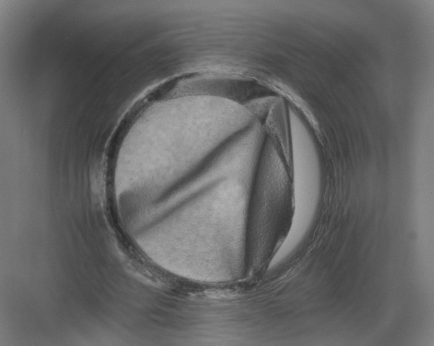 X0000082200580200702170020