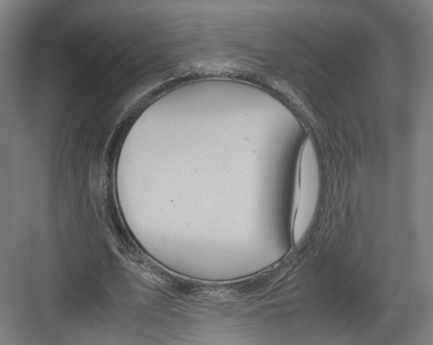 X0000082200583200702170020