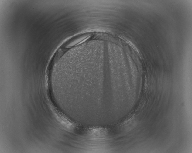 X0000082200584200702170020