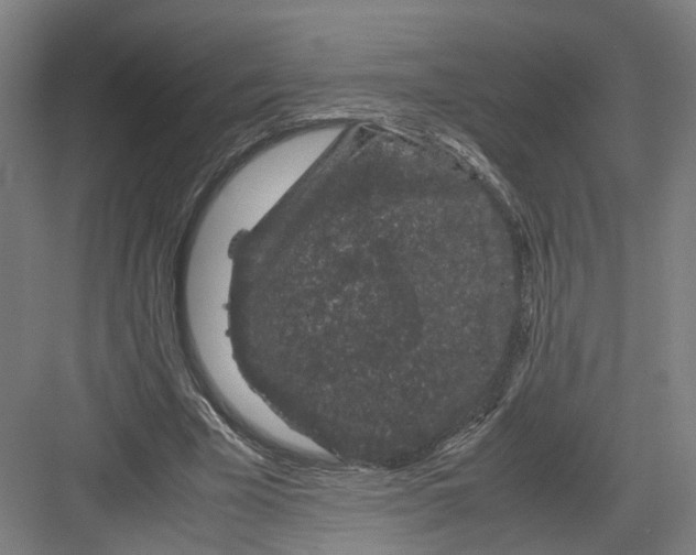 X0000082200585200702170020