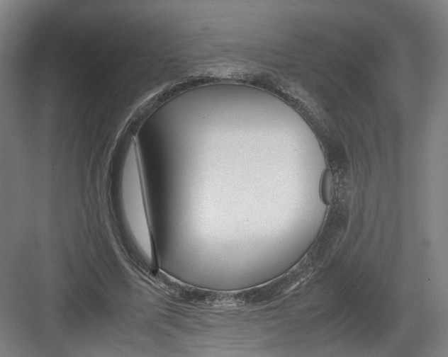 X0000082200587200702170020