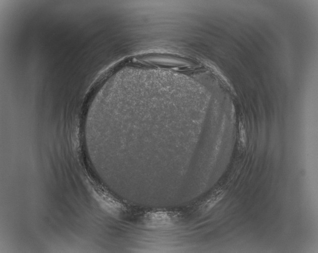 X0000082200588200702170020