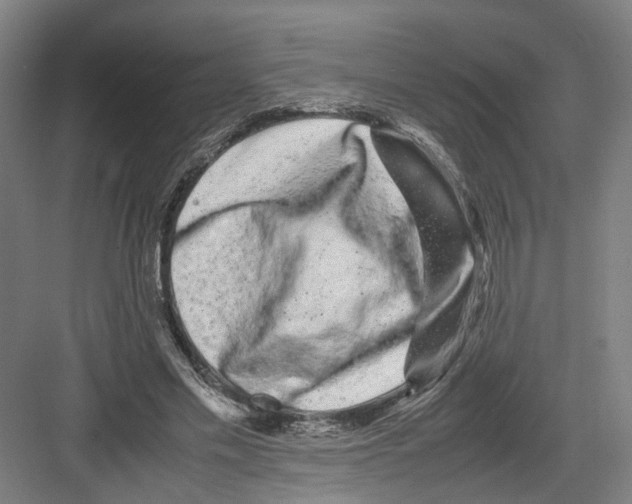 X0000082200589200702170020