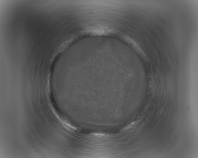 X0000082200590200702170020