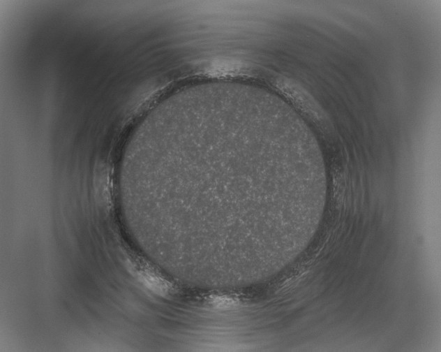 X0000082200592200702170020