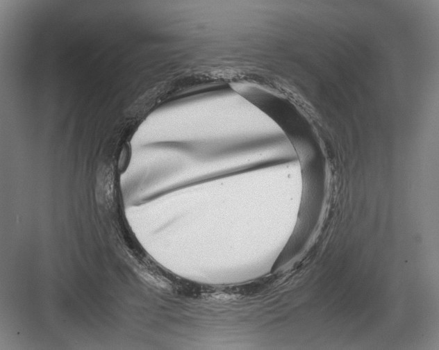 X0000082200593200702170020