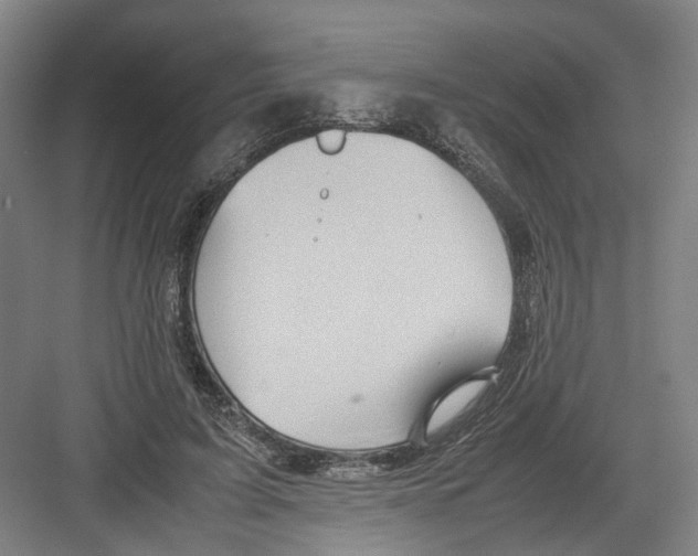 X0000082200595200702170020