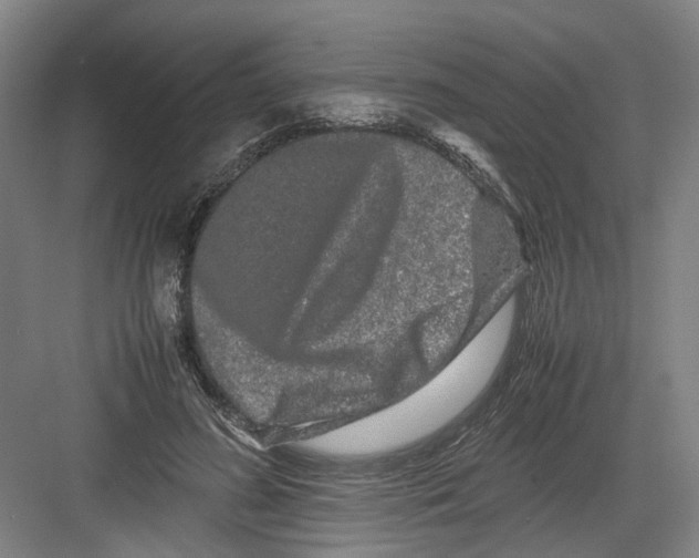 X0000082200596200702170020