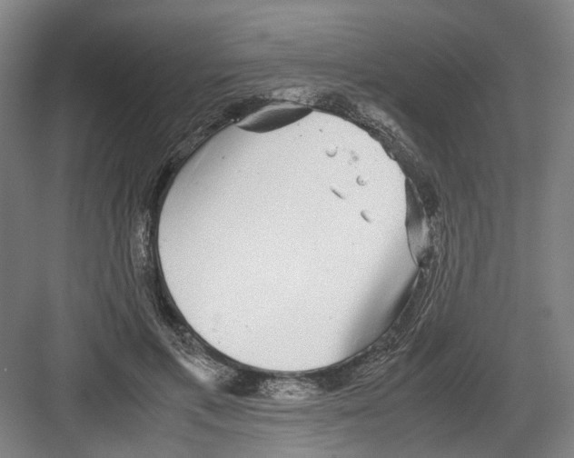 X0000082200597200702170020