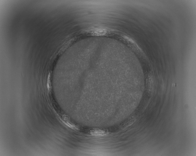 X0000082200598200702170020