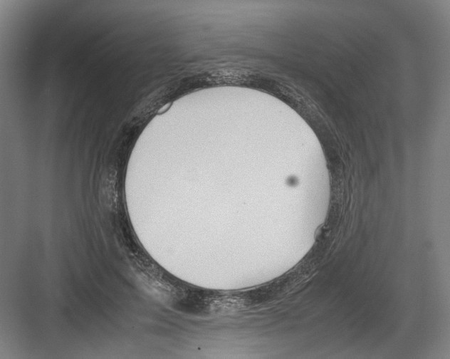 X0000082200599200702170020