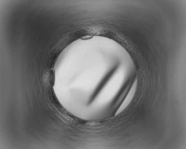 X0000082200601200702170020