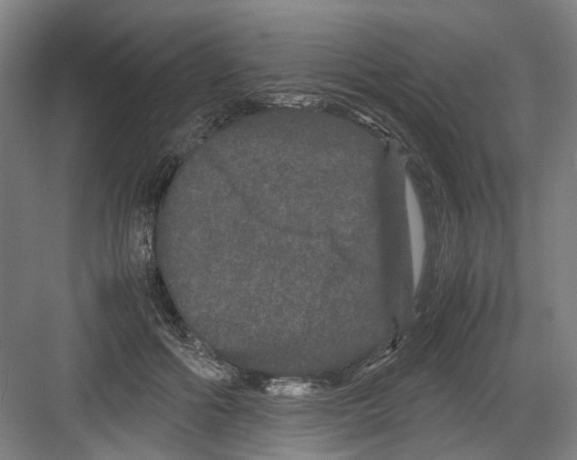 X0000082200602200702170020