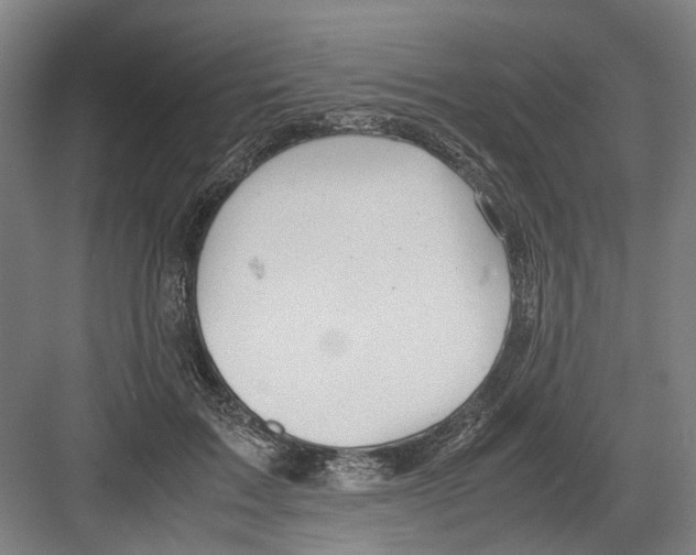 X0000082200603200702170020