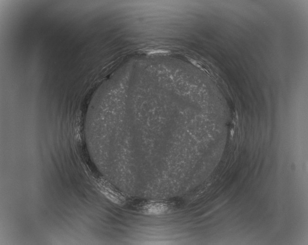 X0000082200604200702170020