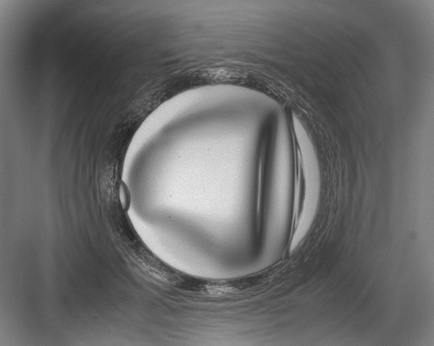 X0000082200605200702170020